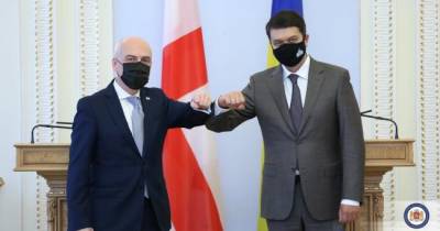 Грузия и Украина «сверяют часы» на пути в ЕС и НАТО