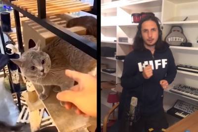 «Сделал хитяру»: диджей записал песню с мяукающим котом и набрал три миллиона просмотров