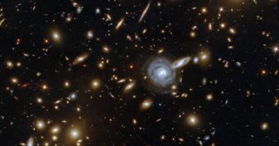 Телескоп NASA снял скопление галактик причудливых форм