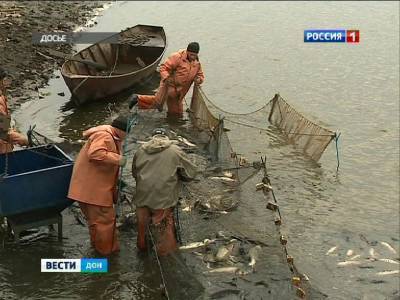 Из водоемов Ростовской области изъяли сотни неводов и раколовок