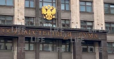 Жириновский выступил за переезд Госдумы в новое здание после инцидента с отвалившейся буквой "А"