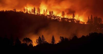 В Сибири снова бушуют лесные пожары: пришлось перекрывать трассу