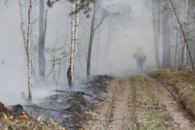 Из-за лесных пожаров из психиатрической больницы Винзили эвакуировали всех пациентов