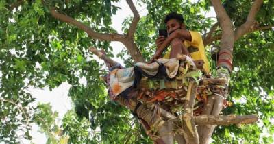 Чтобы не заразить семью: в Индии студент 11 дней жил на дереве (фото)