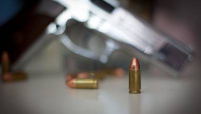 Законопроект об ужесточении правил покупки оружия внесен в Госдуму