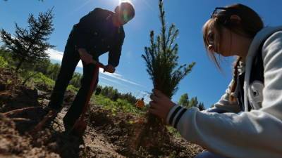 Участники акции «Сад памяти» высадили уже 22 миллиона деревьев