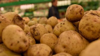 Российский ученый перечислил лучшие сорта картофеля для земель Подмосковья
