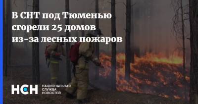 В СНТ под Тюменью сгорели 25 домов из-за лесных пожаров