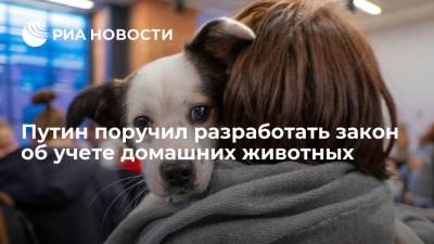 Путин поручил разработать закон об учете домашних животных
