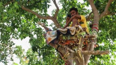 Индиец 11 дней прожил на дереве, чтобы не заразить семью COVID-19