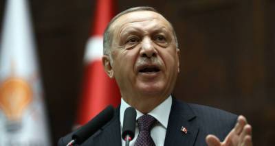 Эрдоган обрушился с проклятиями на правительство Австрии
