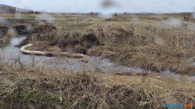 В Александровске-Сахалинском у пляжа снова разлились нефтепродукты