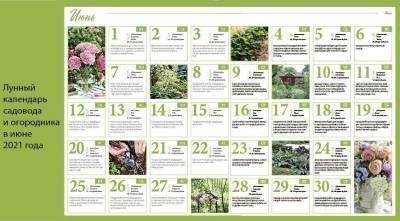 Лунный посевной календарь садовода, цветовода и огородника на июнь 2021 года