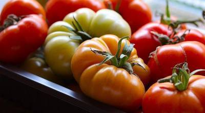 Монофосфат калия: как удобрять помидоры, овощи, цветы и не только
