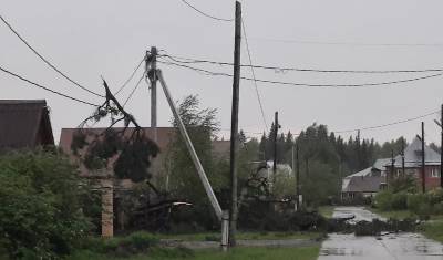 МЧС предупреждает жителей Тюменской области о штормовом ветре 18 мая