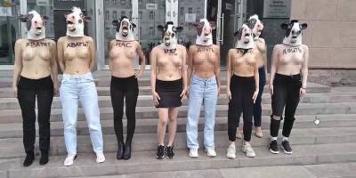 Возле Министерства сельского хозяйства в РФ голые девушки устроили протест - видео обнаженных активисток в масках коров - ТЕЛЕГРАФ