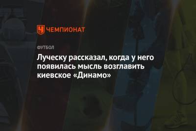 Луческу рассказал, когда у него появилась мысль возглавить киевское «Динамо»