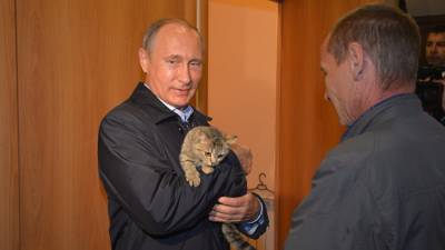 Путин распорядился создать законопроект о ведении учета домашних питомцев