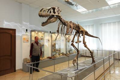 18 мая отметим День рождения майского жука, Международный день динозавров, Международный день музеев