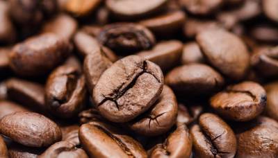 В импортируемых в Тверскую область партиях кофе, чая и семян карантинных объектов не нашли