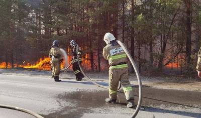 Природные пожары в Тюменской области тушат 1055 человек и 115 единиц техники