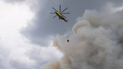 Из-за лесных пожаров из Пышминки и Железного Перебора эвакуировали 49 тюменцев