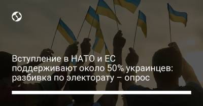 Вступление Украины в НАТО и Европейский Союз поддерживают около 50% украинцев – опрос