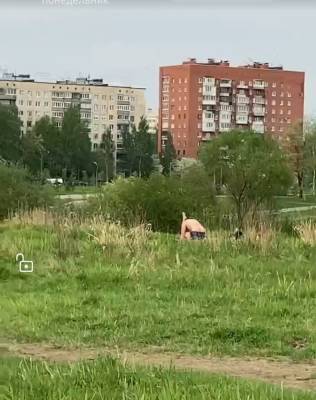 Петербуржец набрел в Муринском парке на парочку занимающуюся сексом на газоне — видео