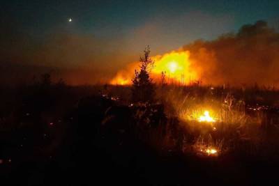 У озера Карась в Марий Эл тушили лесной пожар