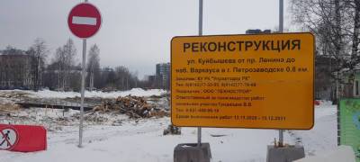 В Петрозаводске пересадят голубые ели, попавшие под вырубку из-за строительства новой дороги