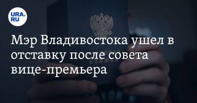 Мэр Владивостока ушел в отставку после совета вице-премьера