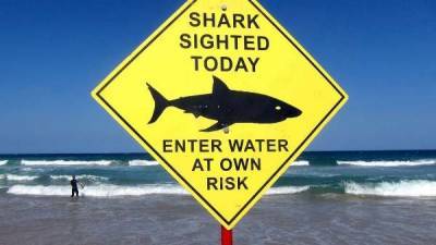 Австралия открыла список смертельных нападений акул у берегов страны в этом году