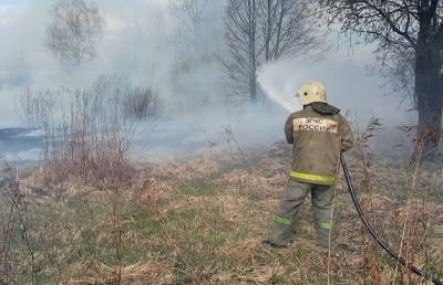 За неделю на территории Смоленской области потушили более 50 палов травы