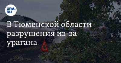 В Тюменской области разрушения из-за урагана. Фото, видео