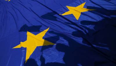 В Госдуме заявили о европейской организации, готовящей членов несогласованных акций в РФ