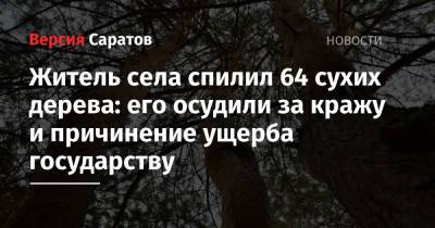 Житель села спилил 64 сухих дерева: его осудили за кражу и причинение ущерба государству