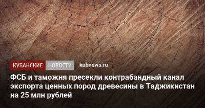ФСБ и таможня пресекли контрабандный канал экспорта ценных пород древесины в Таджикистан на 25 млн рублей