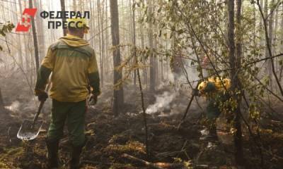 В труднодоступном районе Омской области потушили еще один крупный лесной пожар