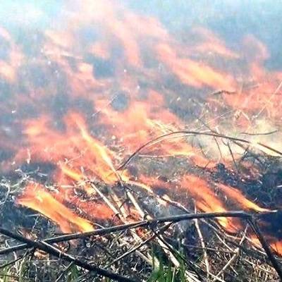 Площадь лесных пожаров в Югре за сутки выросла почти на 130 гектаров