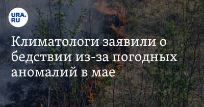 Алексей Карнаухов - Климатологи заявили о бедствии из-за погодных аномалий в мае - ura.news
