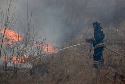 Из-за лесного пожара в Винзилях сгорел гостевой дом тюменской базы отдыха