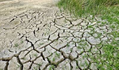 Аномальная жара в Башкирии-2021: климатологи назвали причины