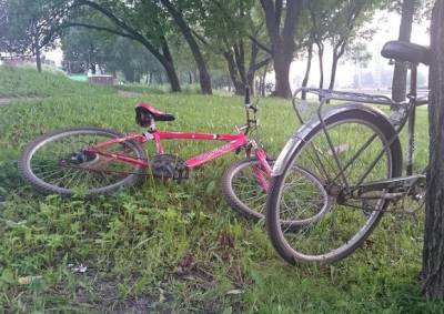 В петербургском парке велосипедист сбил подростка