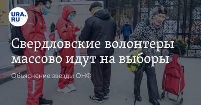 Свердловские волонтеры массово идут на выборы. Объяснение звезды ОНФ