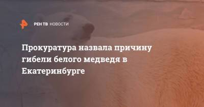Прокуратура назвала причину гибели белого медведя в Екатеринбурге