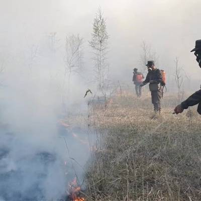 Два сотрудника МЧС пострадали при тушении лесных пожаров в Тюменской области