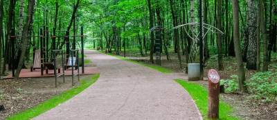 Жители Красногорска могут выбрать лесопарковые территории для благоустройства