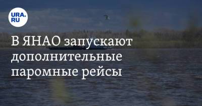 В ЯНАО запускают дополнительные паромные рейсы