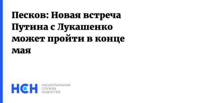 Песков: Новая встреча Путина с Лукашенко может пройти в конце мая