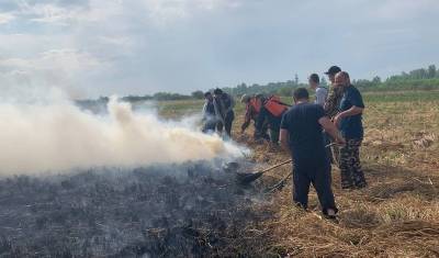 Пламя вплотную подходит к деревне Пышминка в Тюменском районе. Люди тушат огонь сами